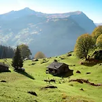 Cortina By Interhome Appartamento