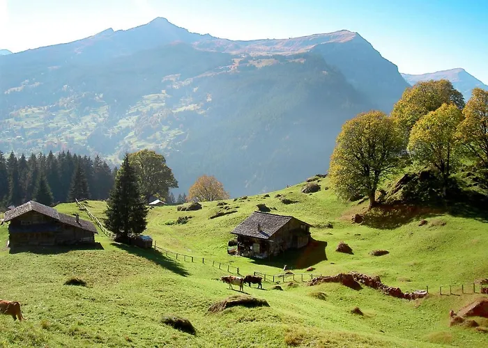 Cortina By Interhome Lejlighed