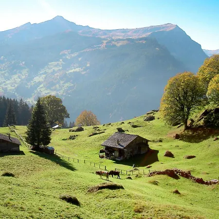 Cortina By Interhome Appartement